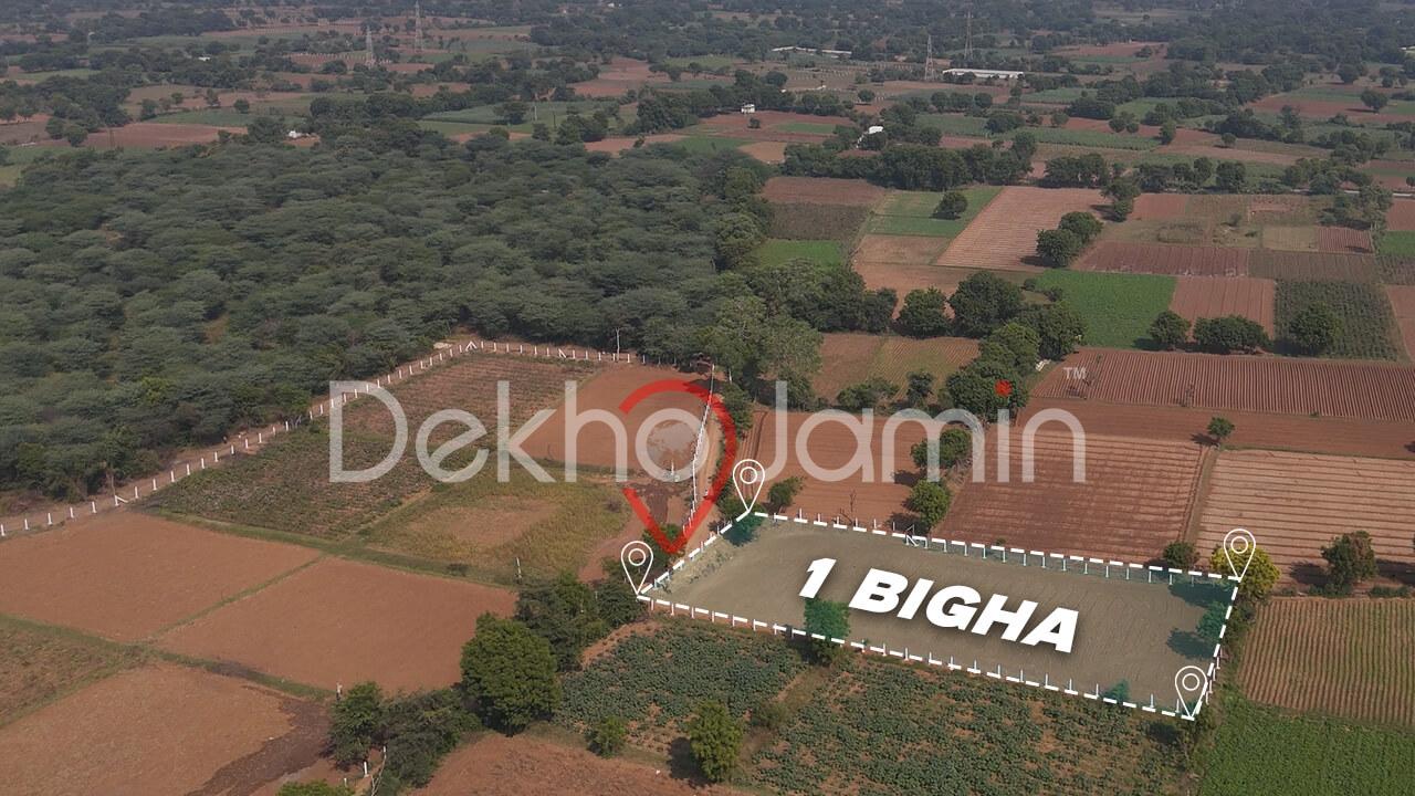 1 Bigha Land Sale Mansa