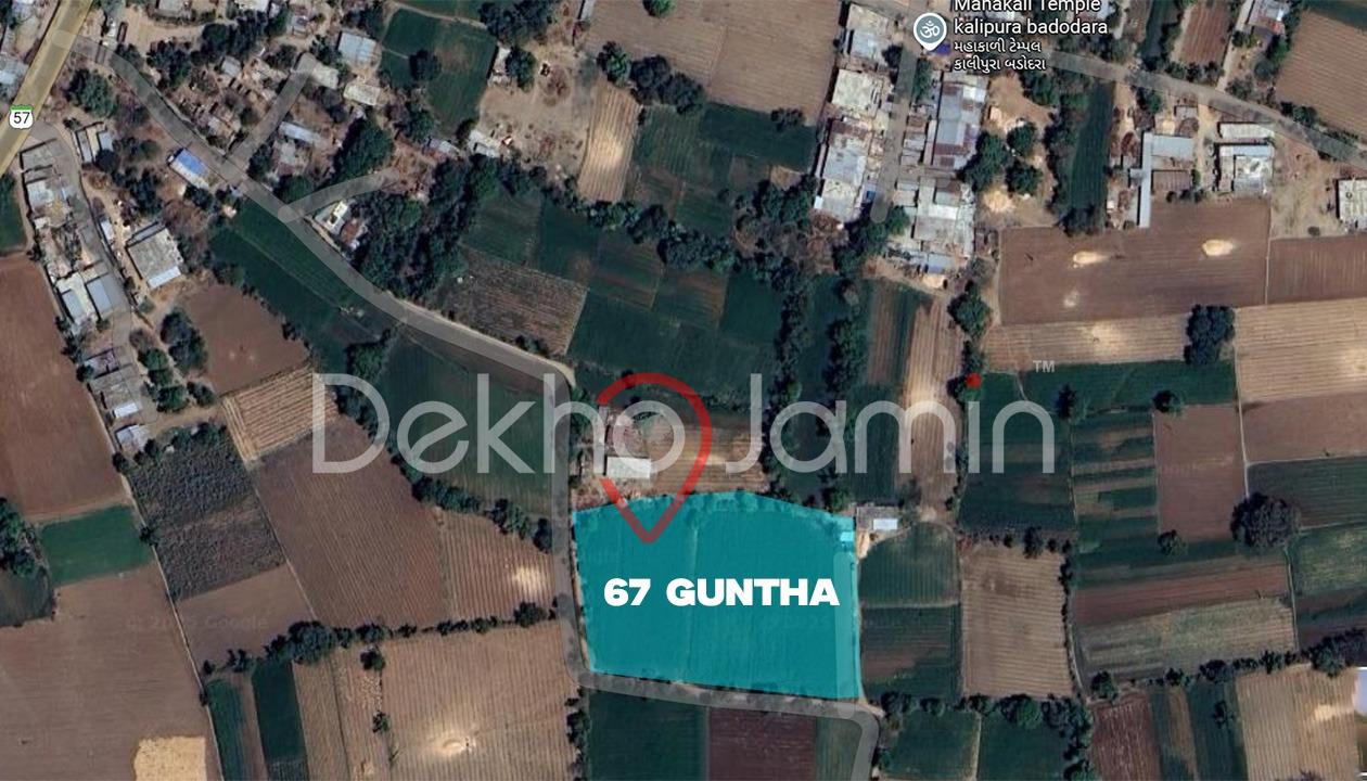 67 Guntha Agriculture Land For Sell In Panapur