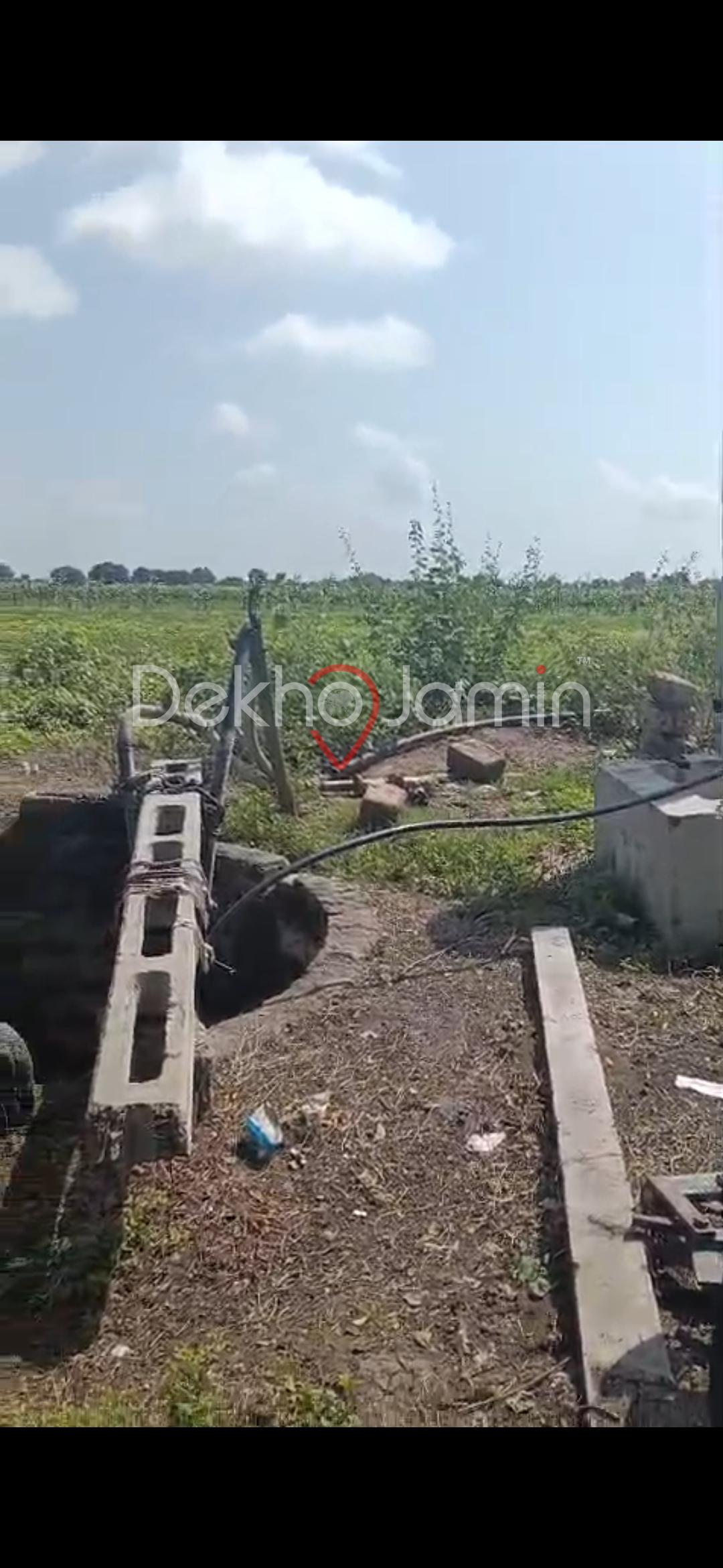 20 vigha agriculture land