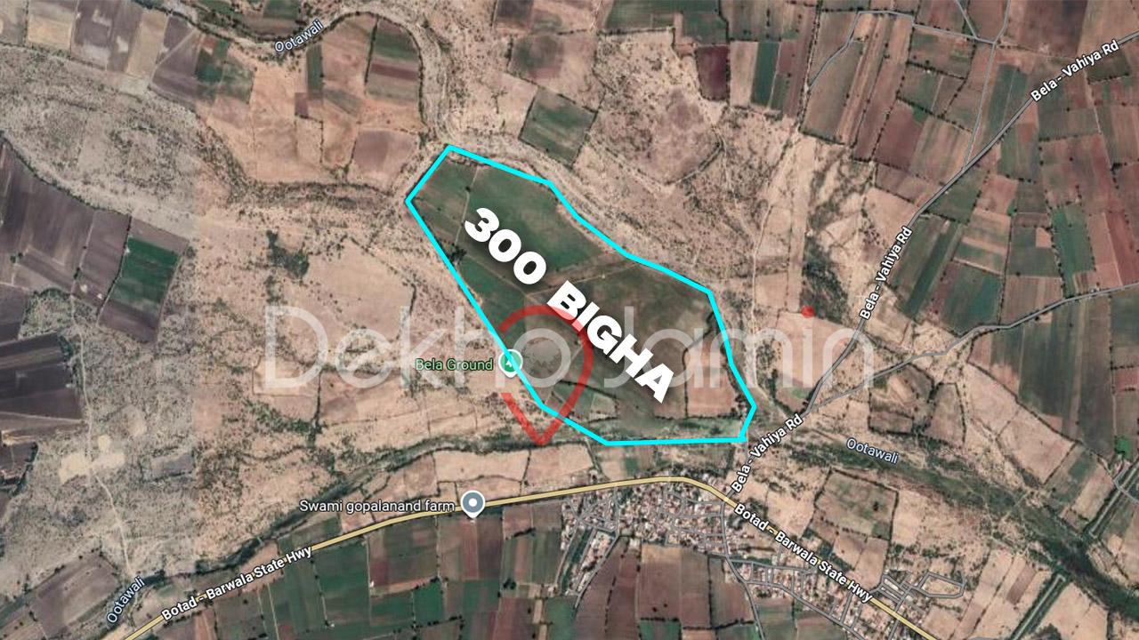 300 Vigha Land Sale Near Salangpur Hanuman Temple