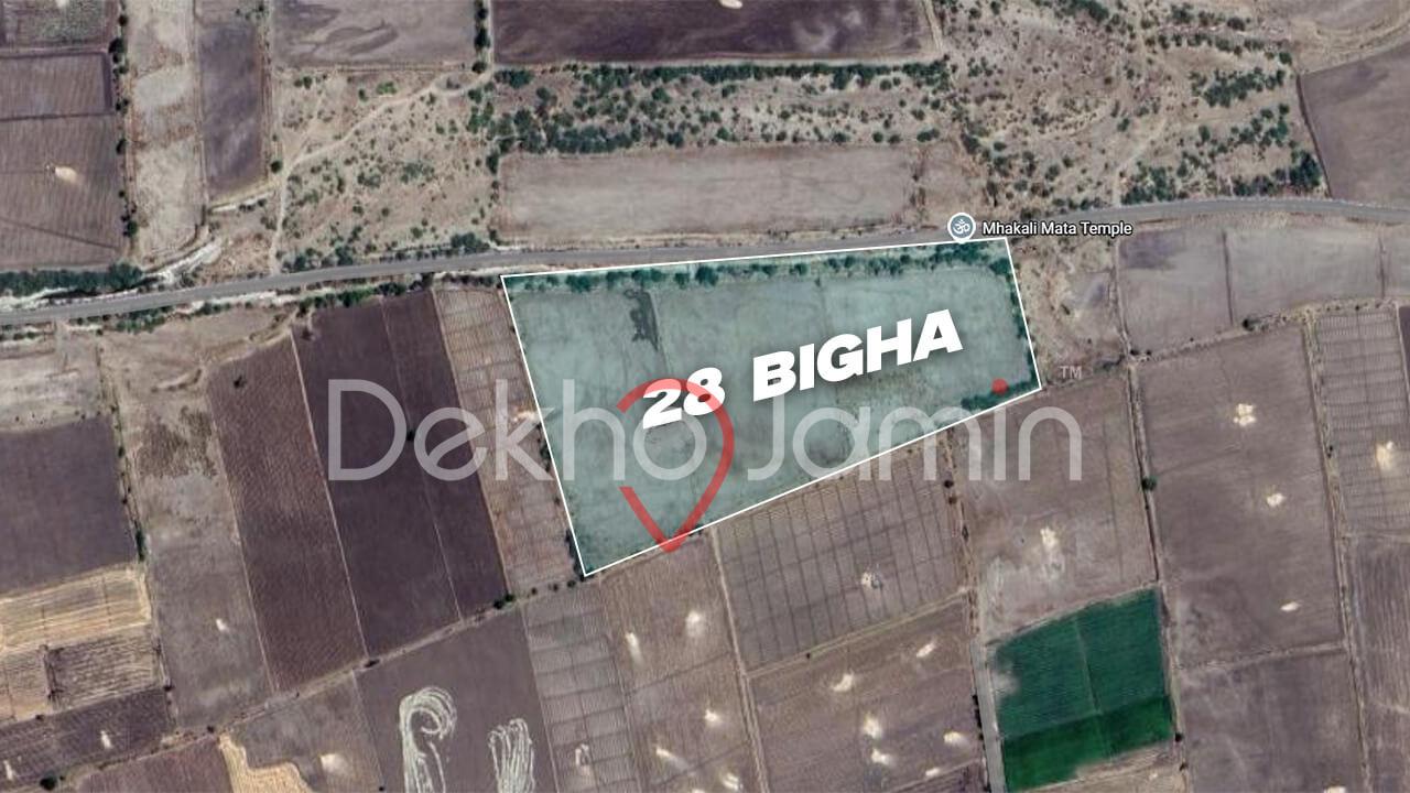 Land For Sale Nana Tradiya Dhandhuka