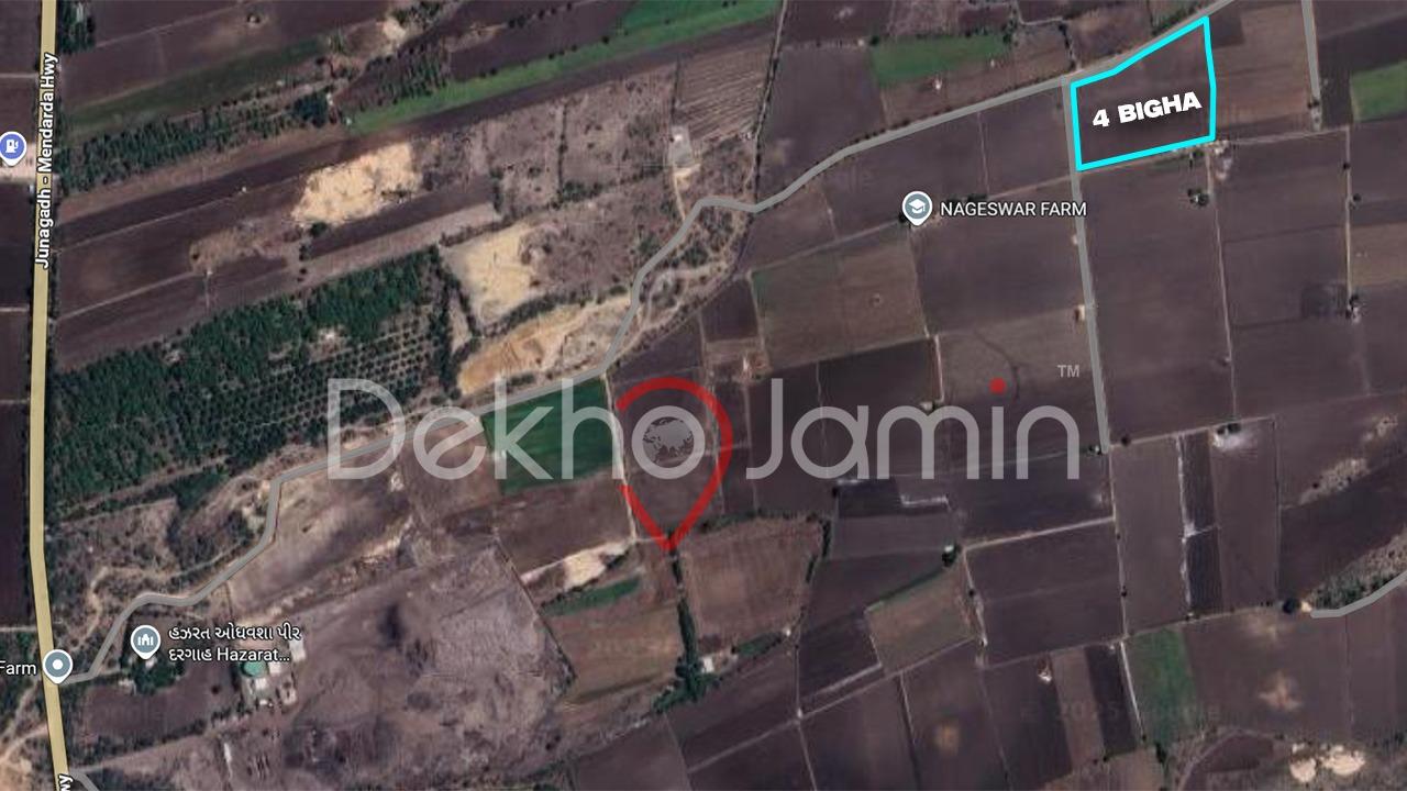 4 Vigha Agriculture Land For Sale In Plasva Junagadh