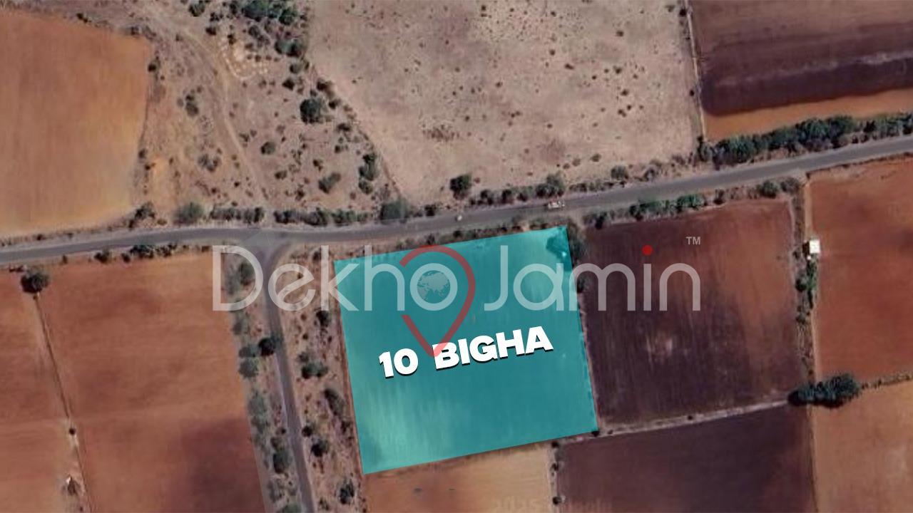 10 Vigha Agriculture Land For Sell In Gadhali, Junagadh