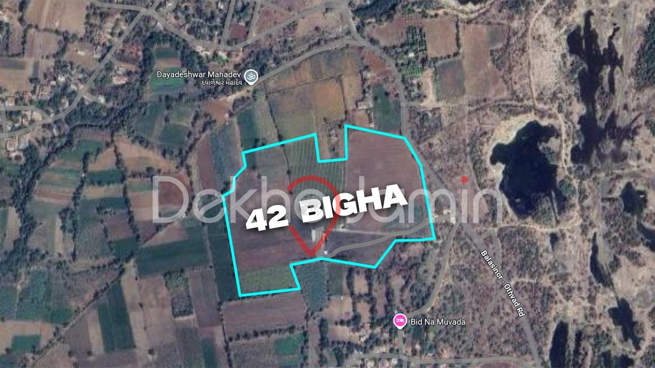 42 Vigha Agriculture Land For Sale In Bodeli Balasinor