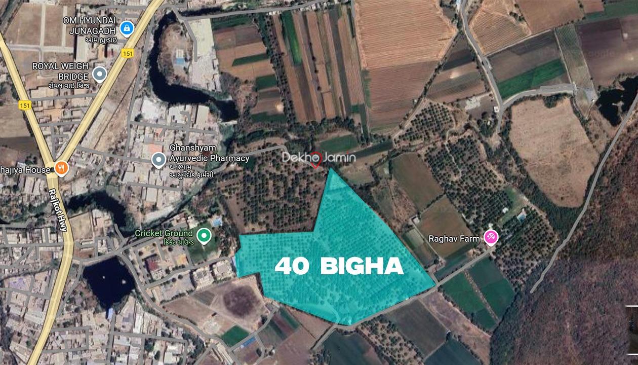 40 Vigha Agr4iculture Land Sale In Sabalpur