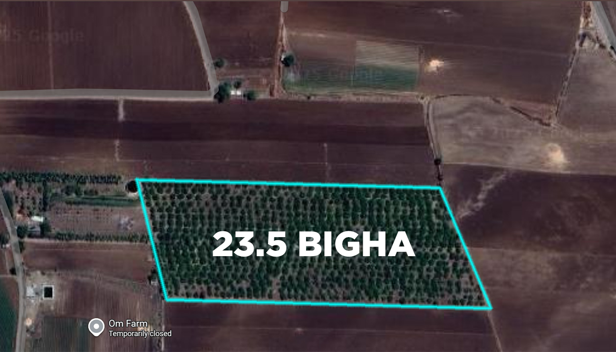 23.5 Bigha Agriculture Land for Sale in Babra Amreli near Highway
