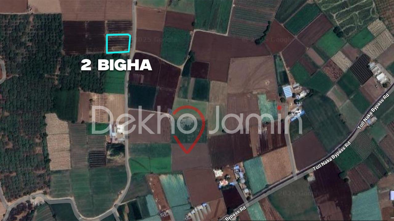 2 Vigha Agriculture Land For Sell In Oran Prantij